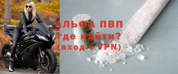 дживик Верхний Тагил