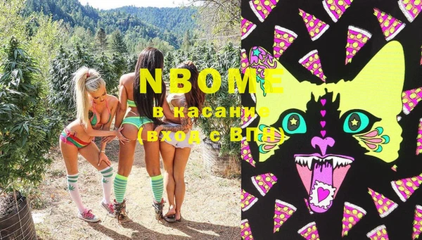 дживик Верхний Тагил