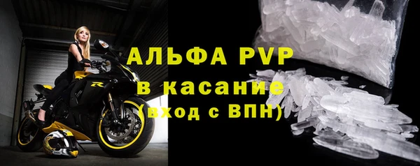 дживик Верхний Тагил