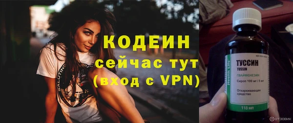 дживик Верхний Тагил