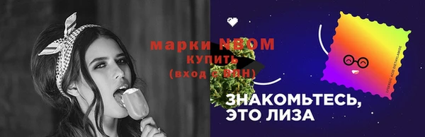 дживик Верхний Тагил