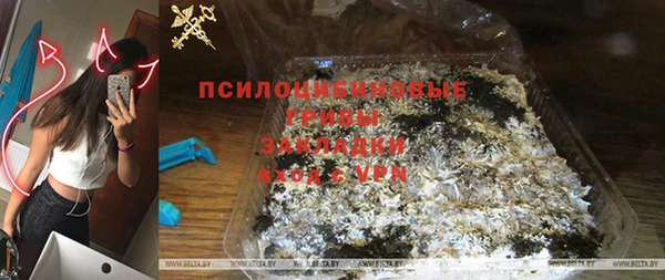 дживик Верхний Тагил
